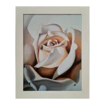 Cuadro rosa blanca