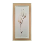 Cuadro white magnolia